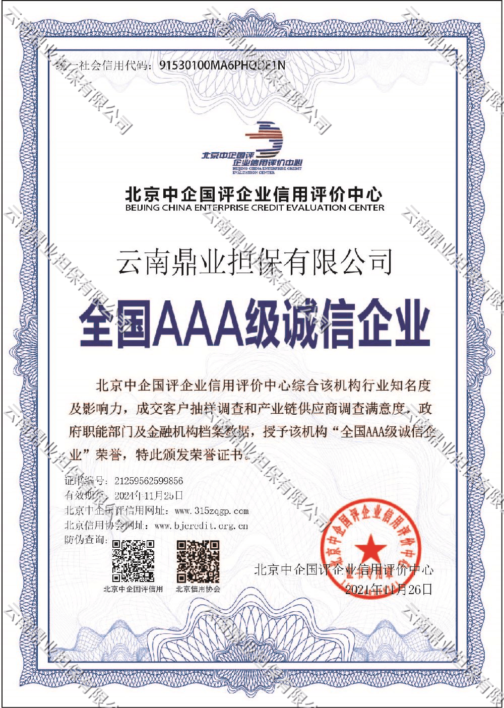 全国AAA级诚信企业证书 (1)